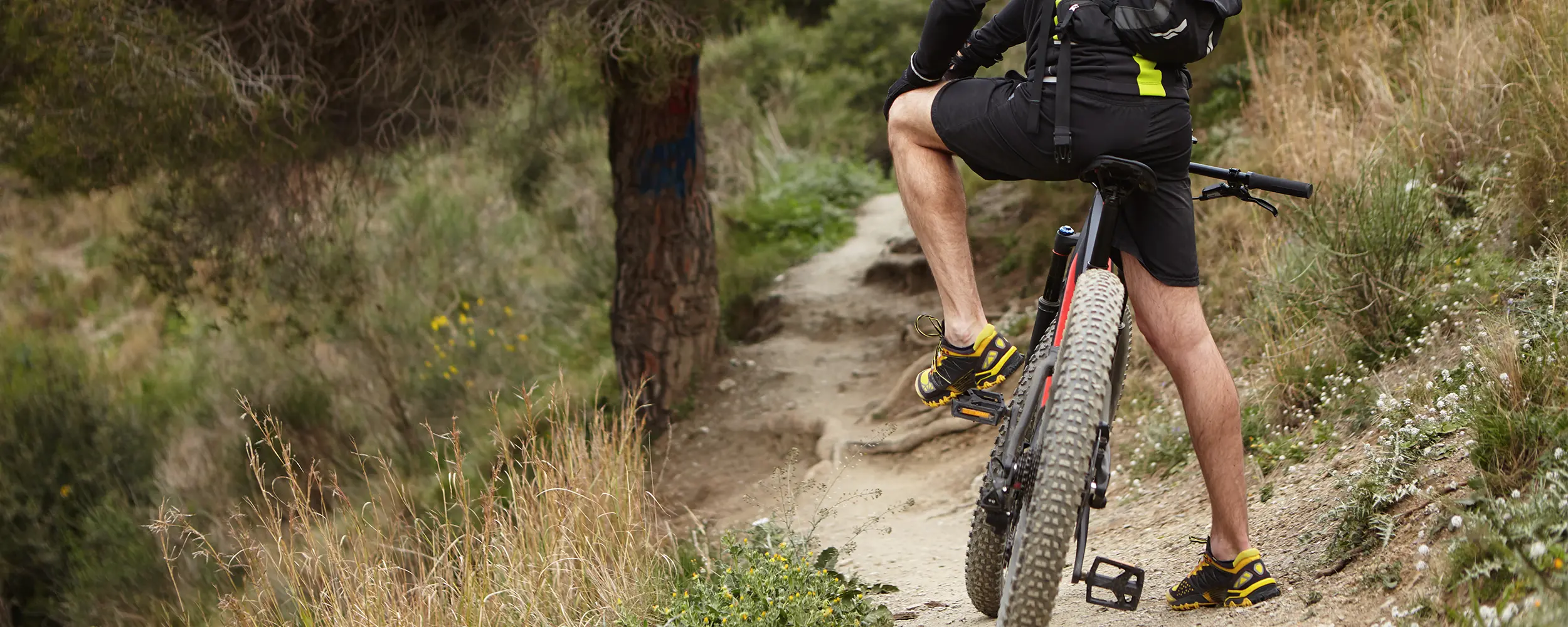 Percorsi in mountain bike nella campagna toscana vicino a Mia Margot Suite Apartment