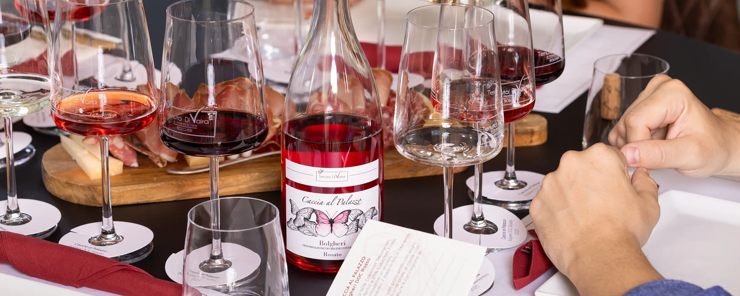 Vigneti e vini di Bolgheri vicino a Mia Margot Suite Apartment