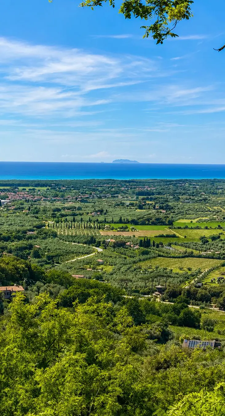 Podere Cafaggio